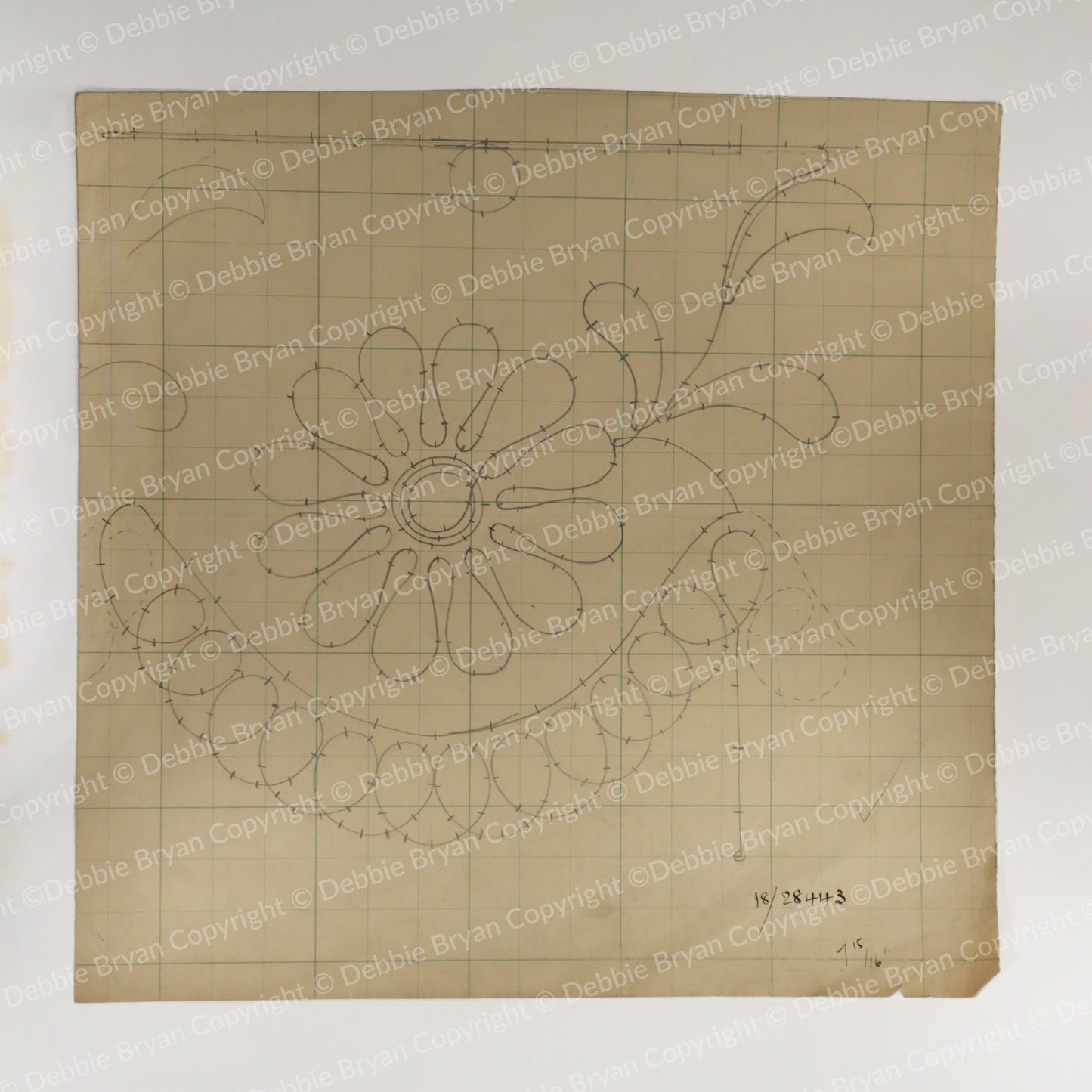 Nottingham Lace Draughtsman Drawing 18/28443