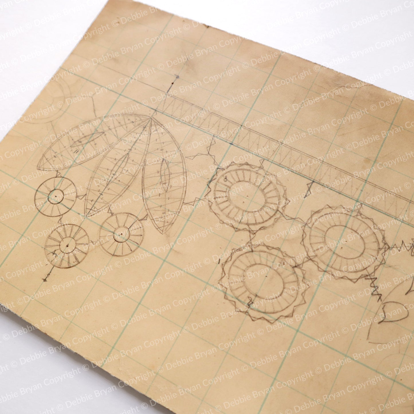 Nottingham Lace Draughtsman Drawing 24/27282