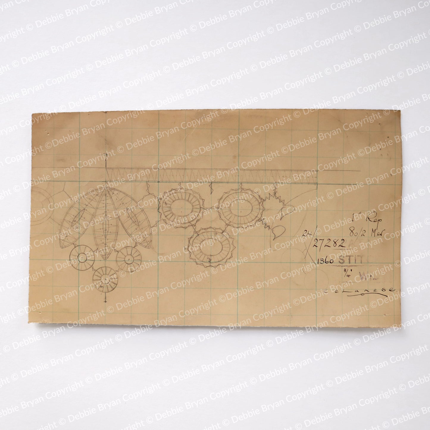 Nottingham Lace Draughtsman Drawing 24/27282