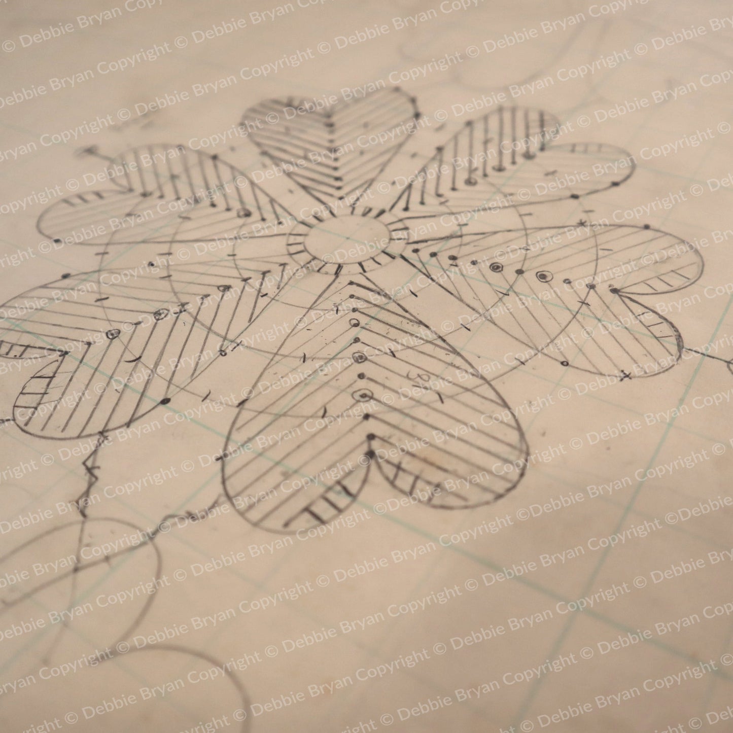 Nottingham Lace Draughtsman Drawing 24/28797