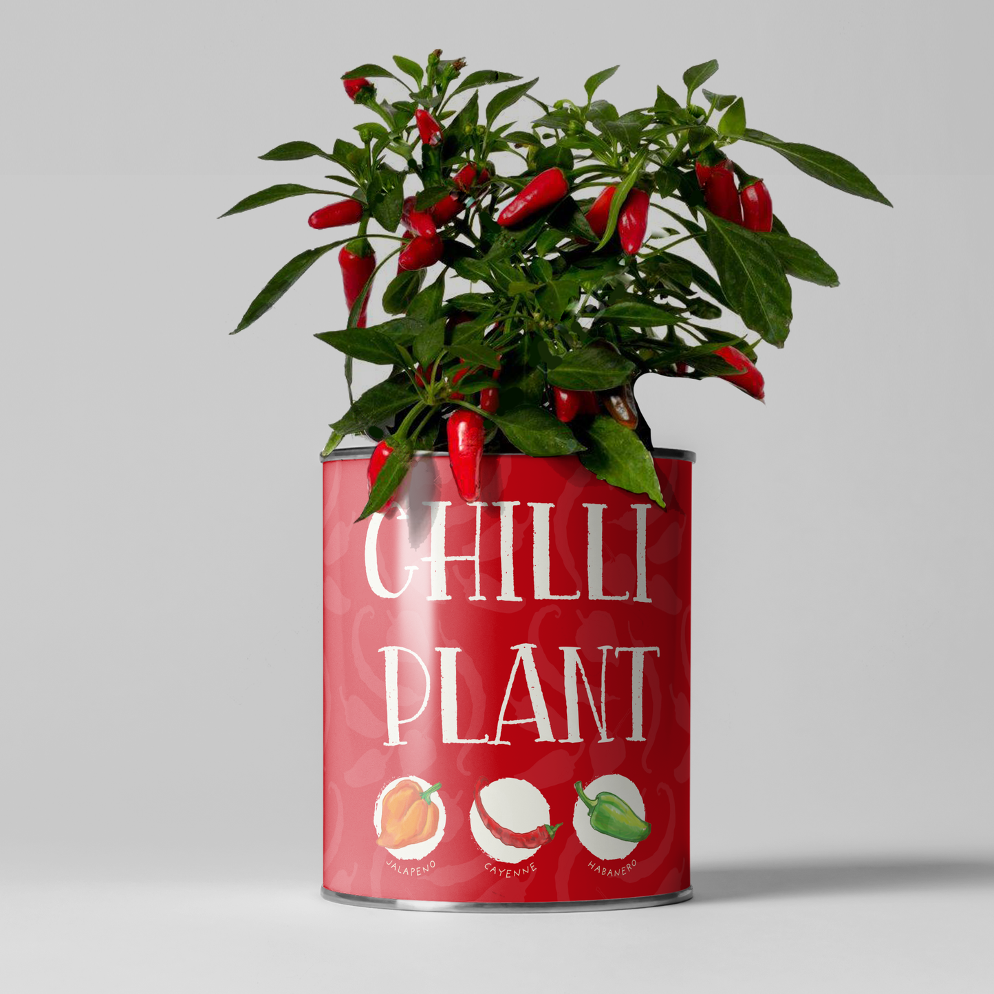 Red Hot Chilli's Grow Kit by The Plant Gift Co.