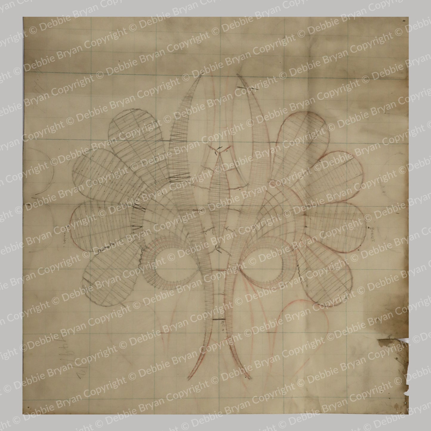 Nottingham Lace Draughtsman Drawing 7497/2