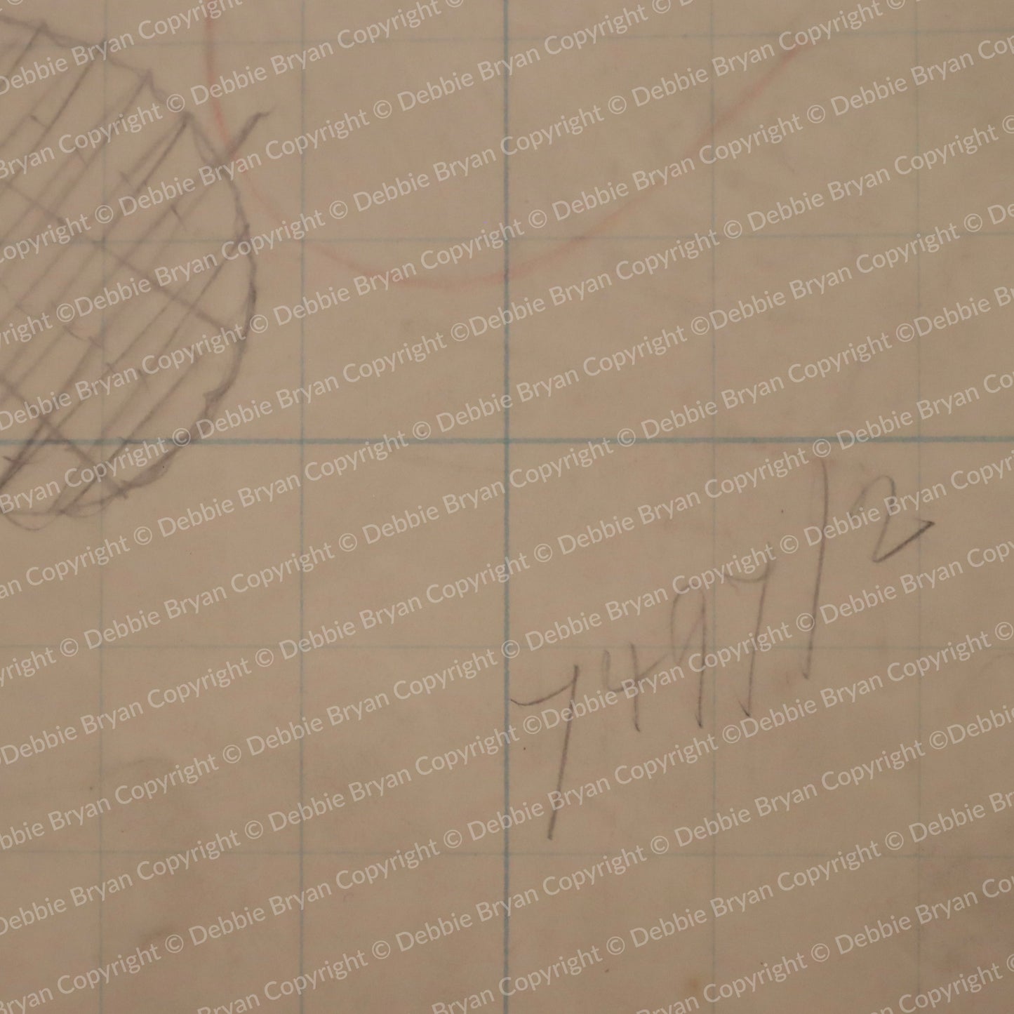 Nottingham Lace Draughtsman Drawing 7497/2