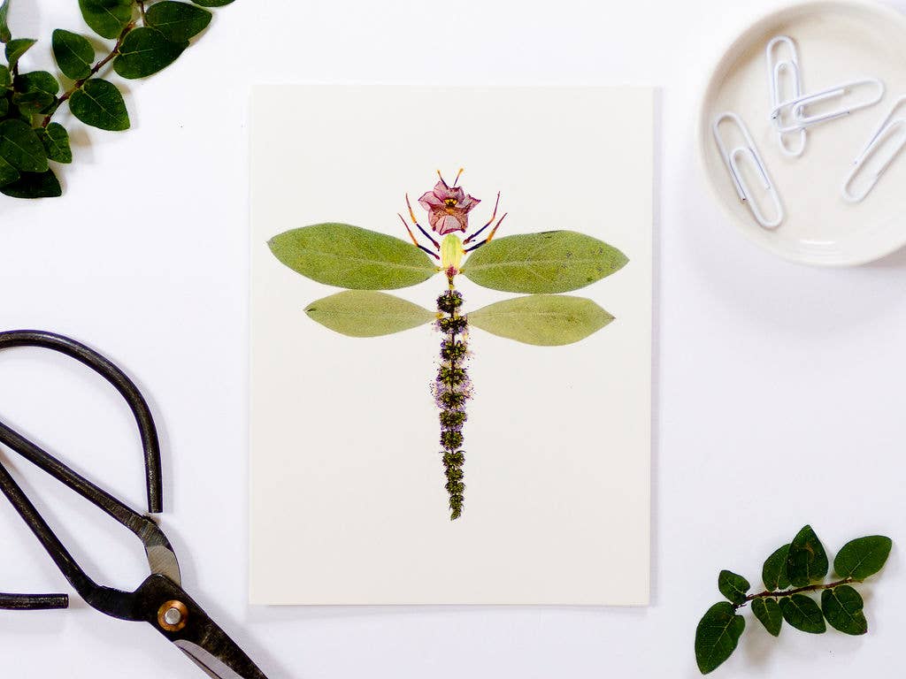 Dragonfly