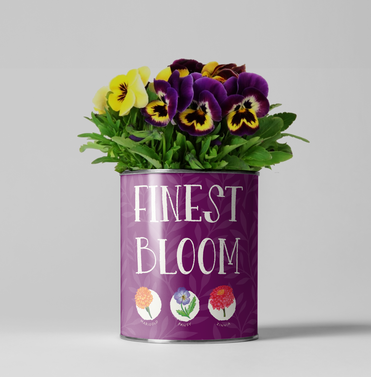 Finest Bloom Grow Kit by The Plant Gift Co.