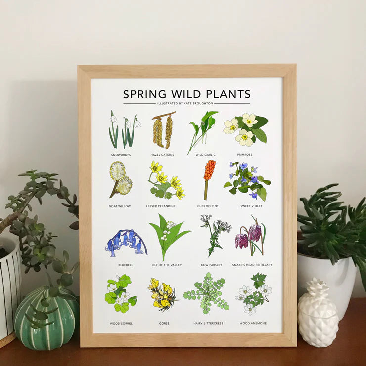 Spring Wild Plants Print by Kate Broughton
