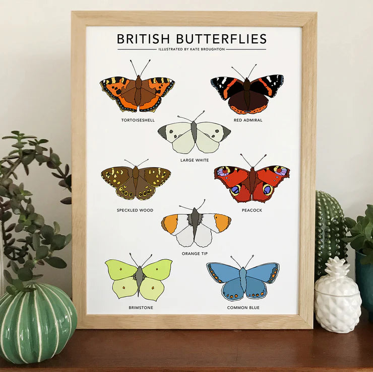 Kate Broughton| BRITISH BUTTERFLIES PRINT