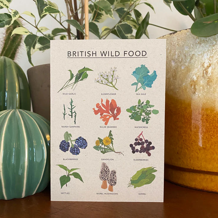 Kate Broughton| BRITISH WILD FOOD ILLUSTRATED CARD