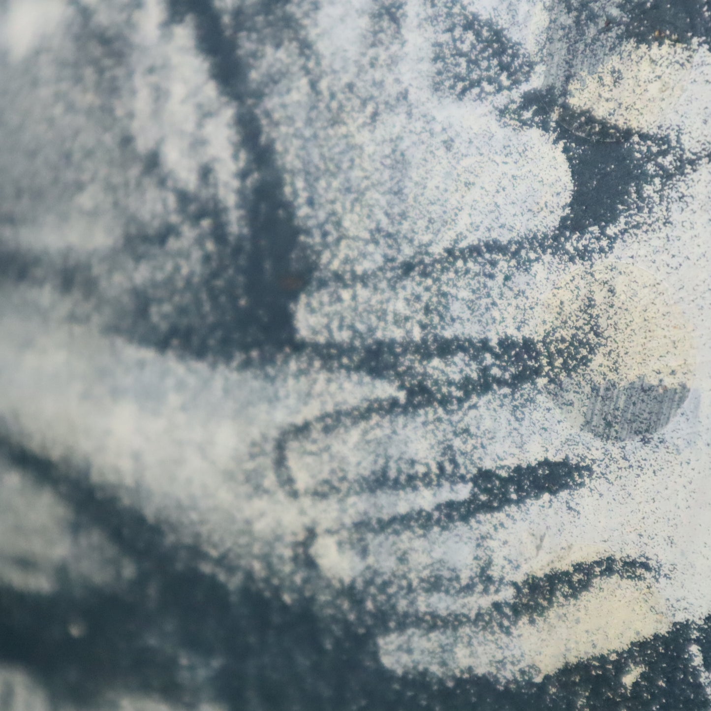 Close-up of a textured surface with patterns
