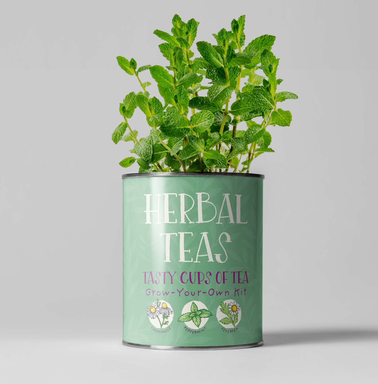 The Plant Gift Co.| Herbal Teas