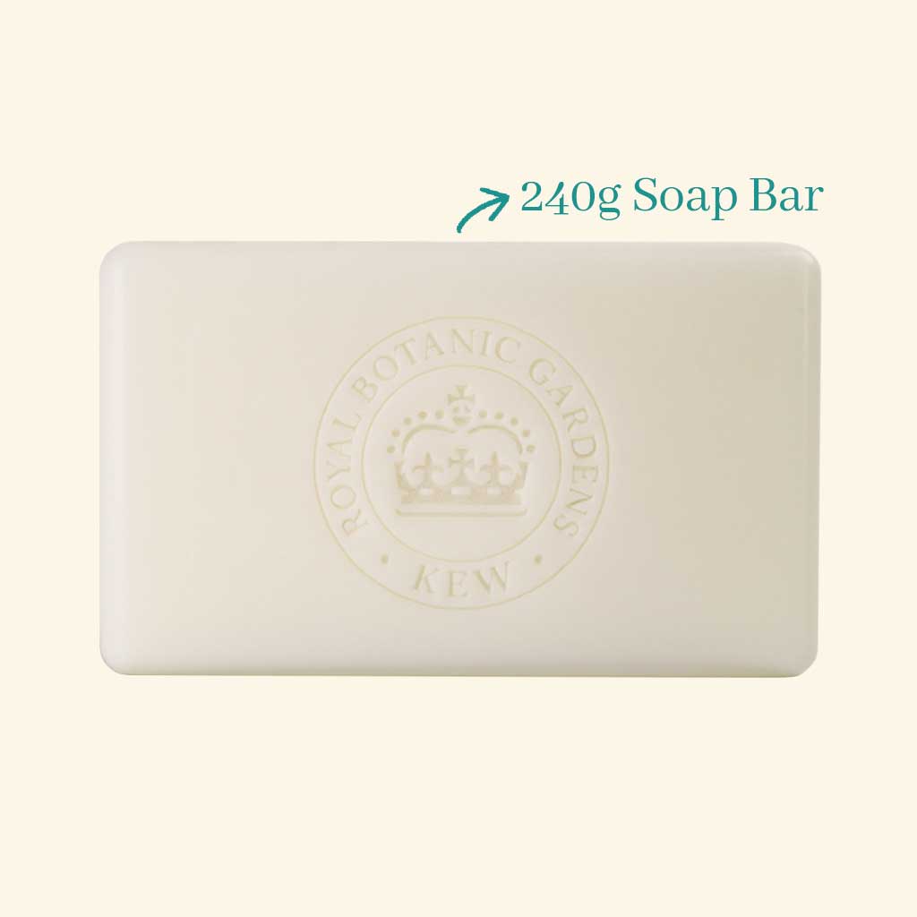 The English Soap Company -Kew Gardens Magnolia and Pear Soap