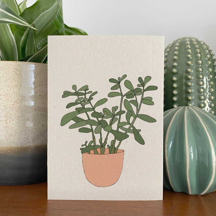 Kate Broughton| JADE HOUSEPLANT CARD