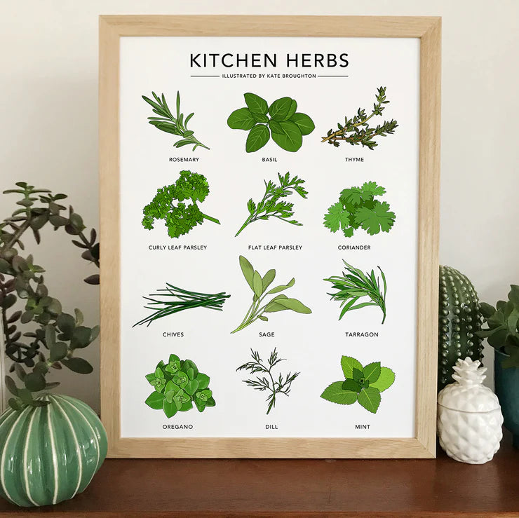 Kitchen Herbs Print by Kate Broughton