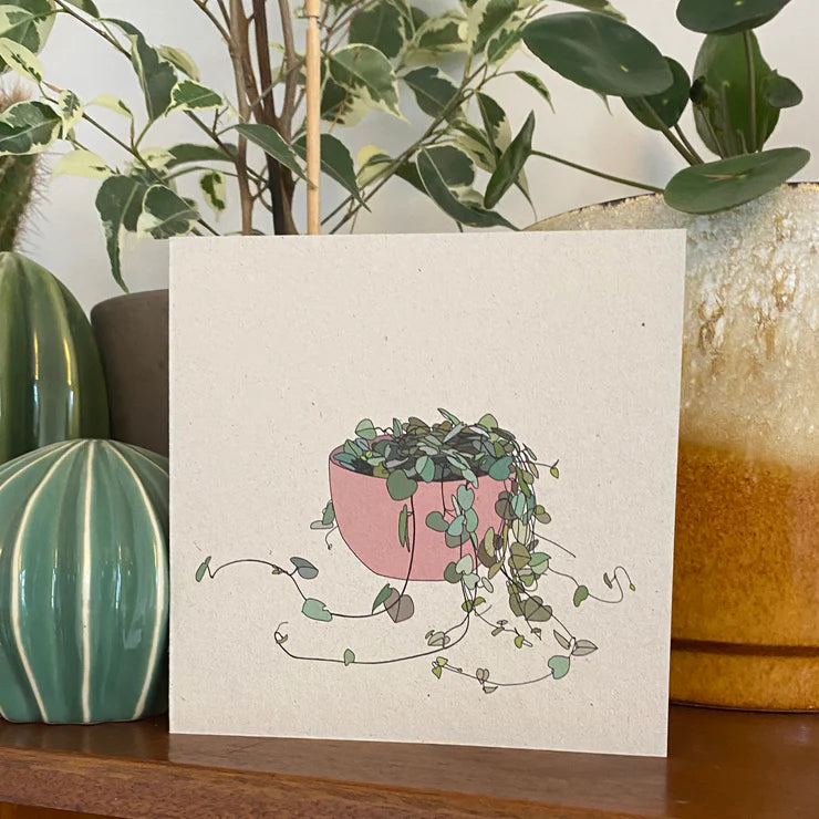 Kate Broughton| STRING OF HEARTS HOUSEPLANT CARD