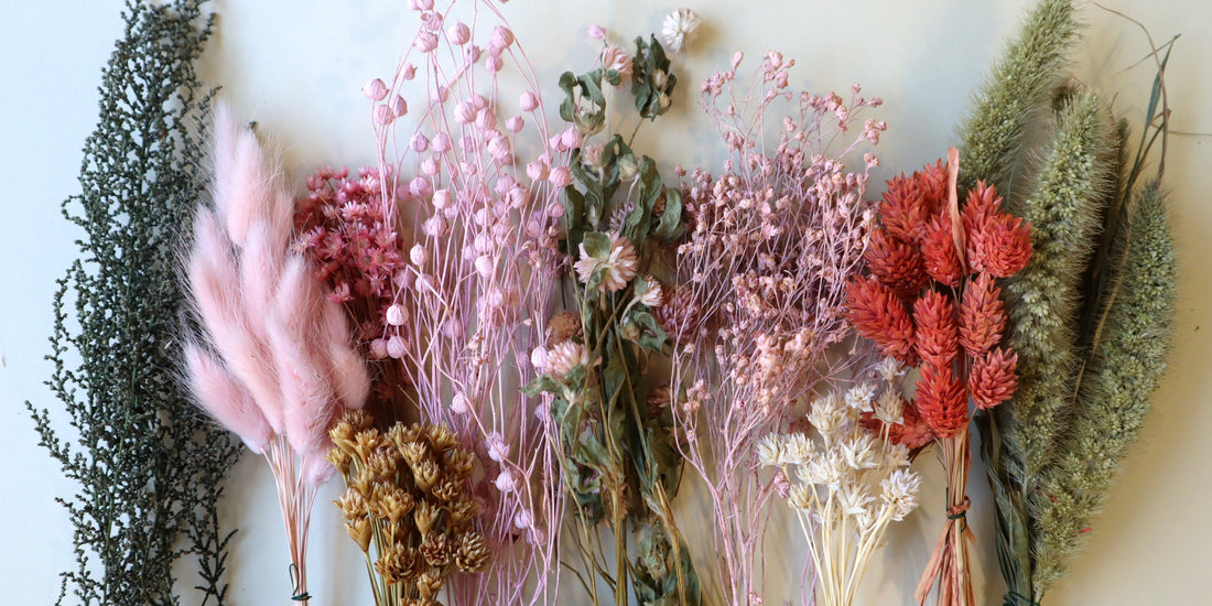 Dried Flower Care Guide: Keep Your Blooms Beautiful for Years