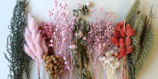 Dried Flower Care Guide: Keep Your Blooms Beautiful for Years