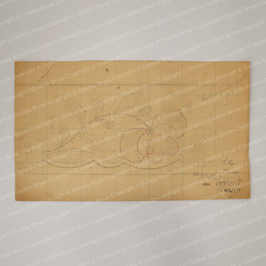 Nottingham Lace Draughtsman Drawing 120/27492