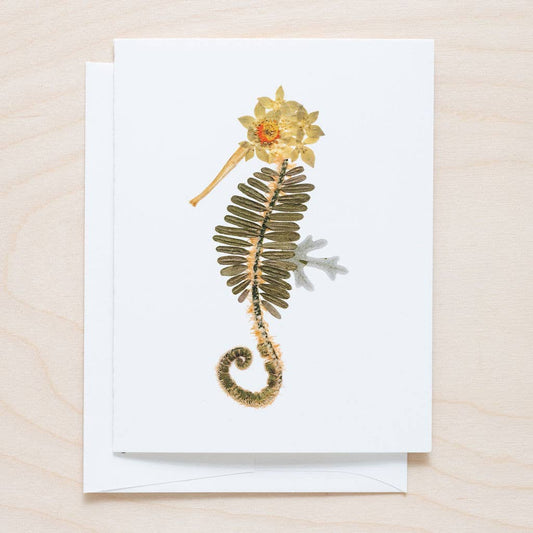 Seahorse