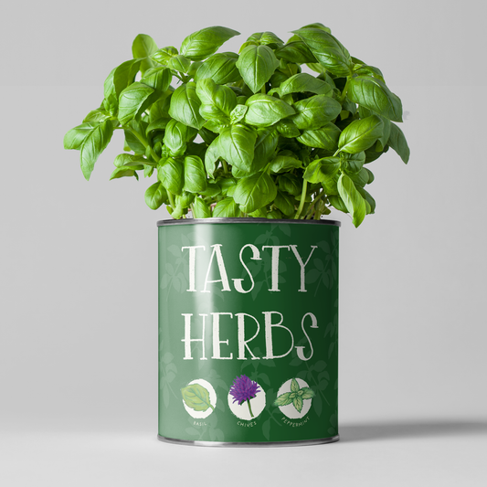The Plant Gift Co. - Tasty Herbs