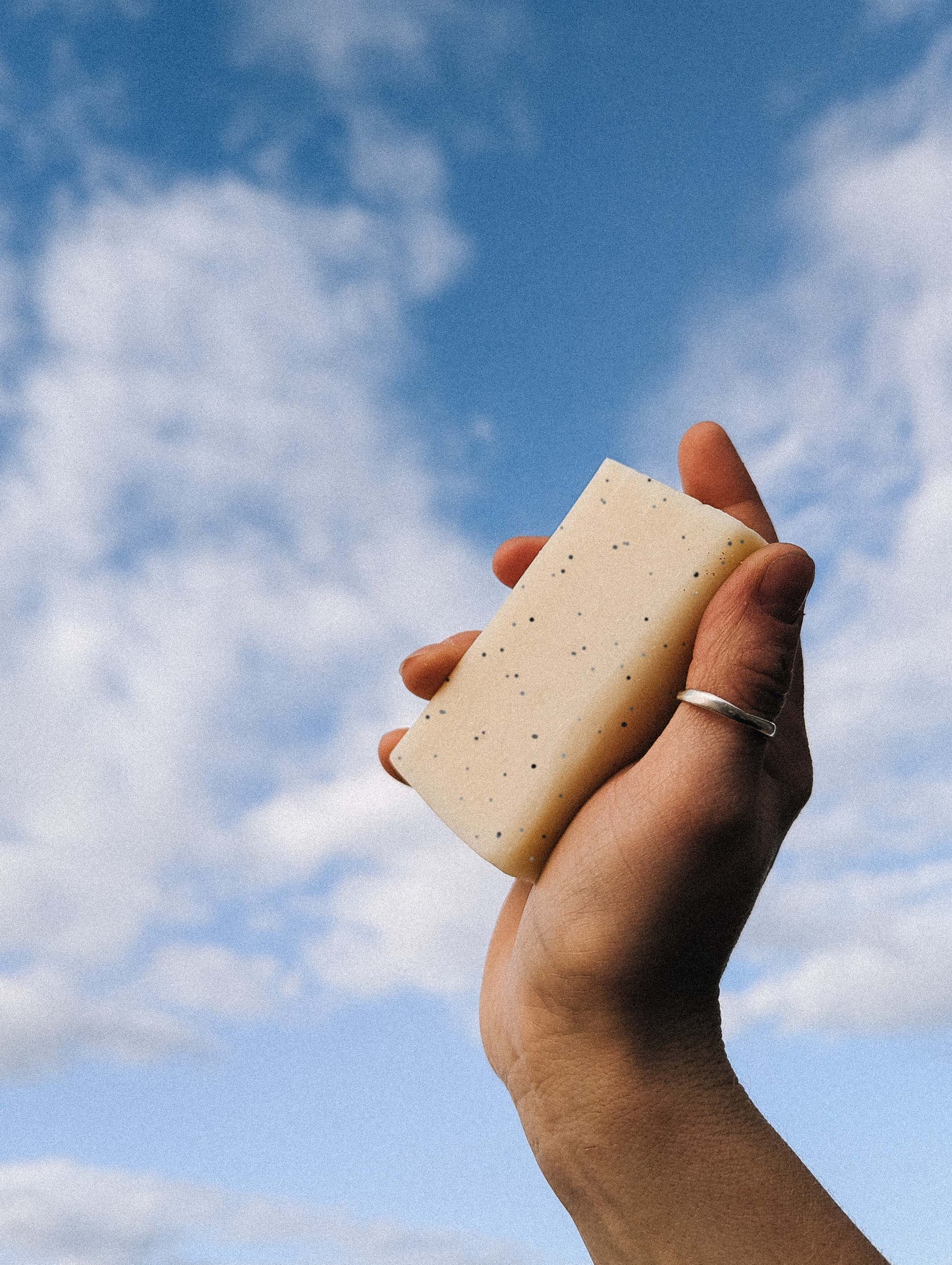 Lavender & Litsea with Poppy Seed Scrub Natural Bar Soap