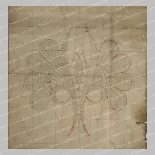 Nottingham Lace Draughtsman Drawing 7497/2