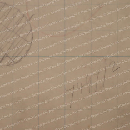 Nottingham Lace Draughtsman Drawing 7497/2