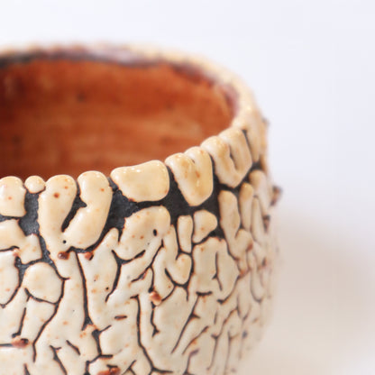 Ceramic Ramen Bowl