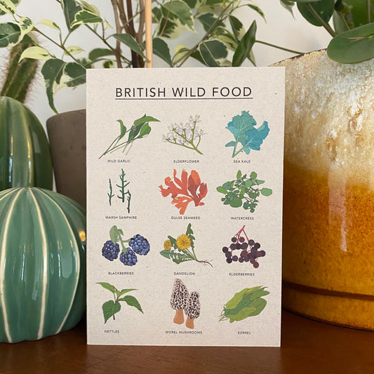 Kate Broughton| BRITISH WILD FOOD ILLUSTRATED CARD