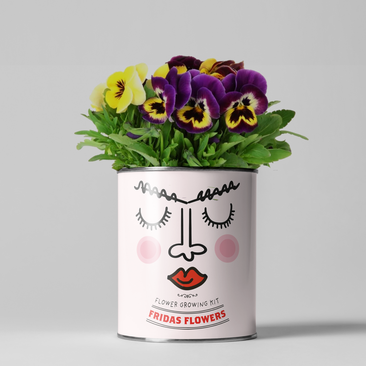 The Plant Gift Co. Frida's Flowers | Grow Your Own Plant Gardening Kit