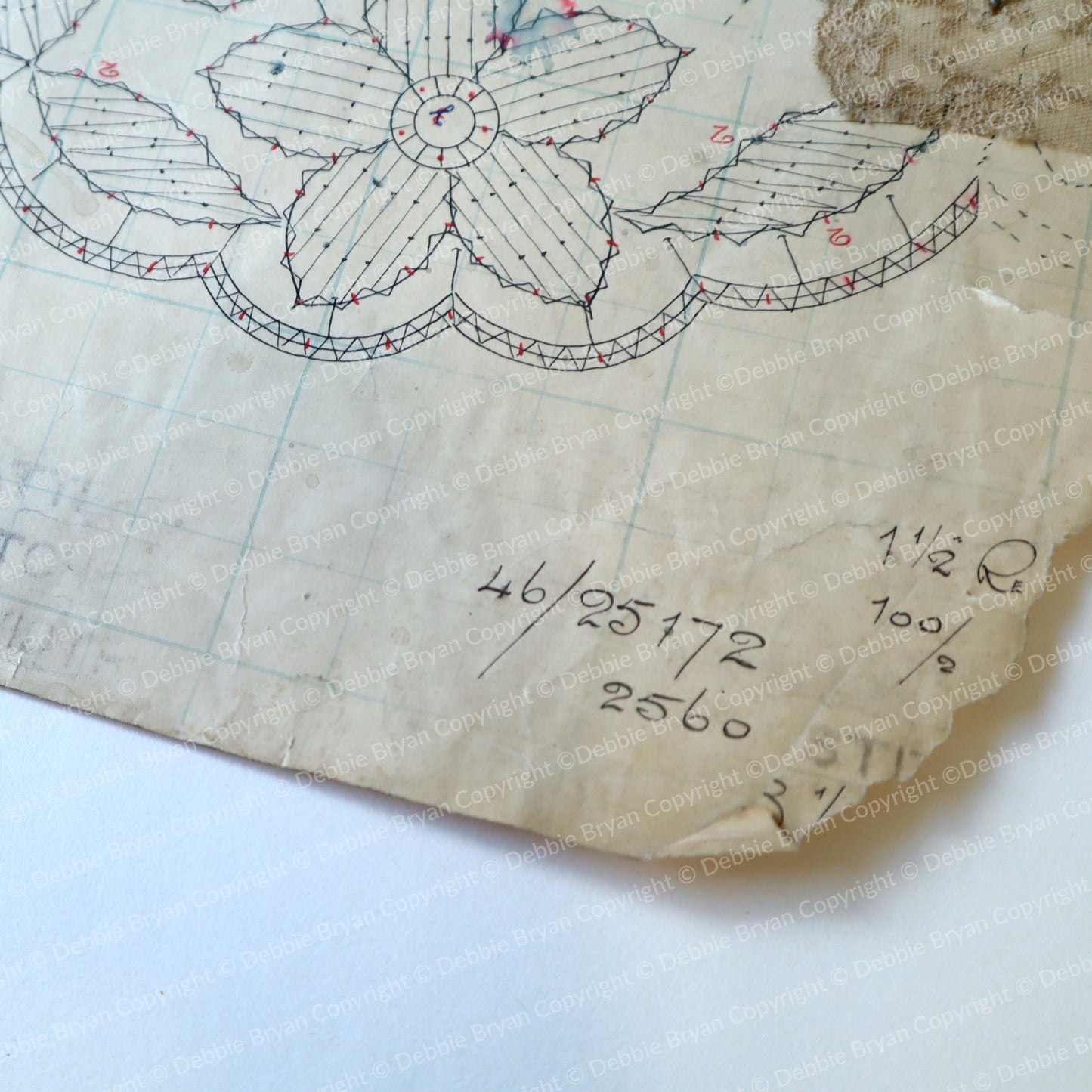Close up of Nottingham Lace Draughtsman Drawing 46/25172 on a white background