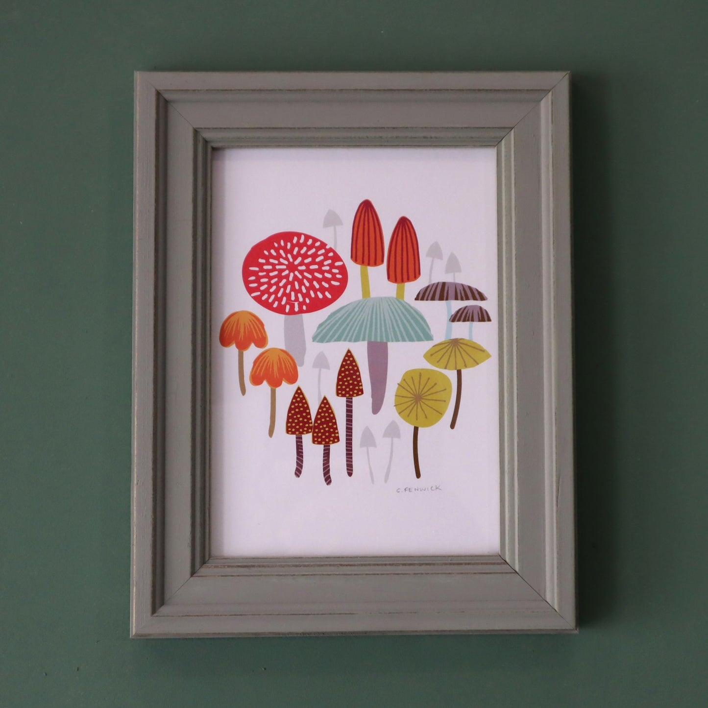 Toadstools & Mushrooms Framed Print by C. Fenwick