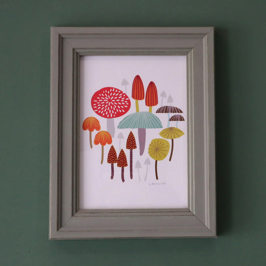 Toadstools & Mushrooms Framed Print by C. Fenwick