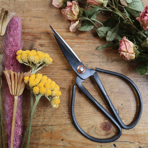 Craft & Garden Scissors