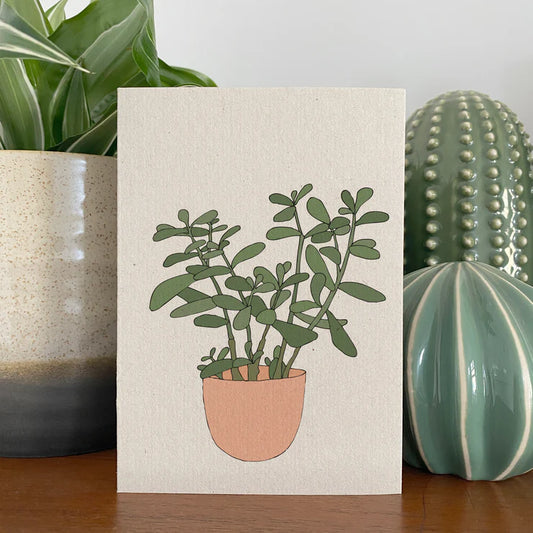 Kate Broughton|  JADE HOUSEPLANT CARD