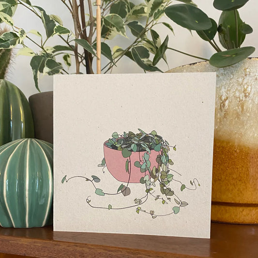Kate Broughton| STRING OF HEARTS HOUSEPLANT CARD