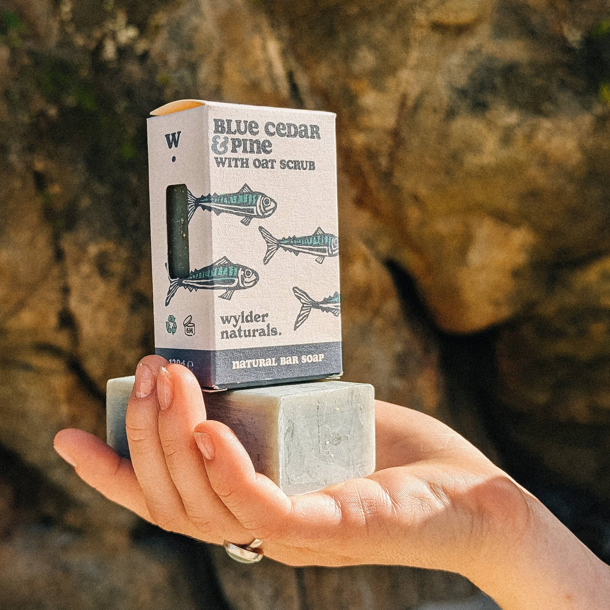 A hand holding a bar of soap with a packaging box on top displaying the product name and an illustration of fish
